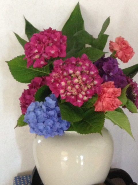 うちの紫陽花です(^^♪