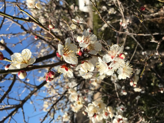 新学期、朝から慌ただしく!!!!