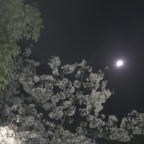 3/31フルムーン